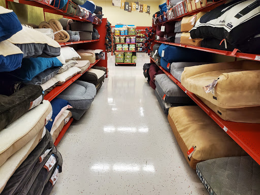 Pet Supply Store «Petco Animal Supplies», reviews and photos, 13741 S Tamiami Trail #2, Fort Myers, FL 33912, USA