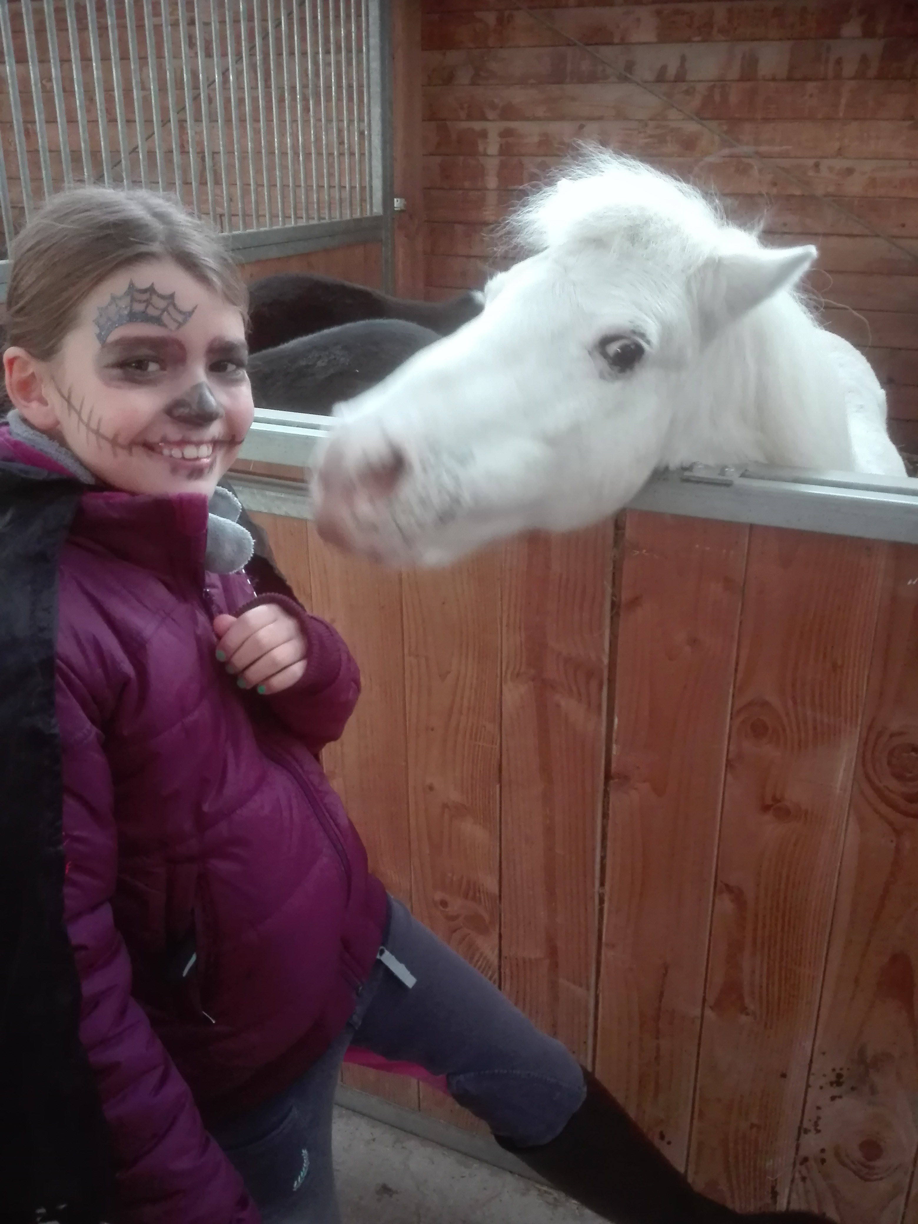 Photo n° 1 de l'avis de Anna.o fait le 03/03/2019 à 17:46