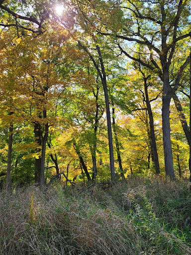 Nature Preserve «Fort Sheridan Forest Preserve», reviews and photos, 117 Sheridan Rd, Lake Forest, IL 60045, USA