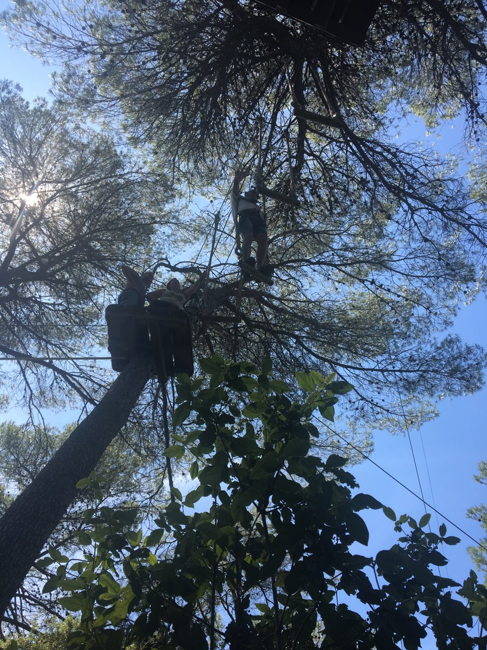 Photo n° 1 de l'avis de Bernard.a fait le 19/08/2019 à 17:53