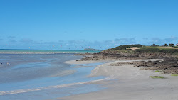 Plage des Briantais'in fotoğrafı vahşi alan