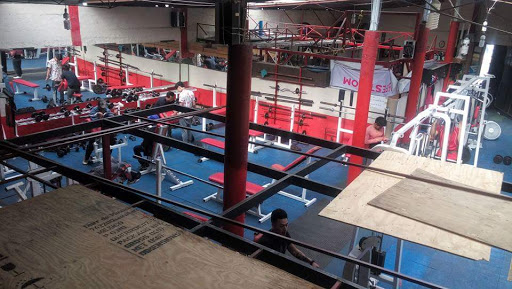 Escuelas boxeo en Toluca de Lerdo