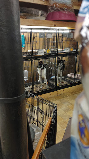 Pet Store «Little Paws Dog Shop LLC», reviews and photos, 19 E Main St, Palmyra, PA 17078, USA