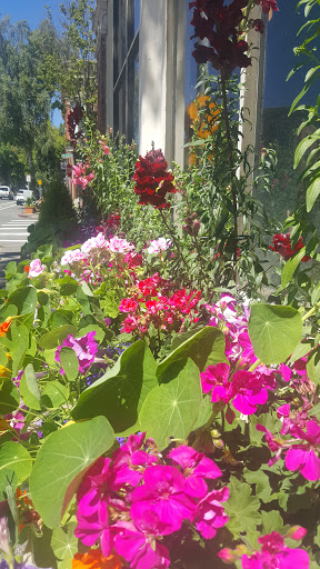 Park «Heritage Park», reviews and photos, 111 Waverly Way, Kirkland, WA 98033, USA