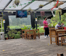 La Bici de Cleta photo