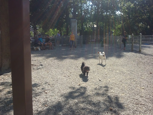 Dog Park «Church Square Park Dog Park», reviews and photos, 401-449 Willow Ave, Hoboken, NJ 07030, USA