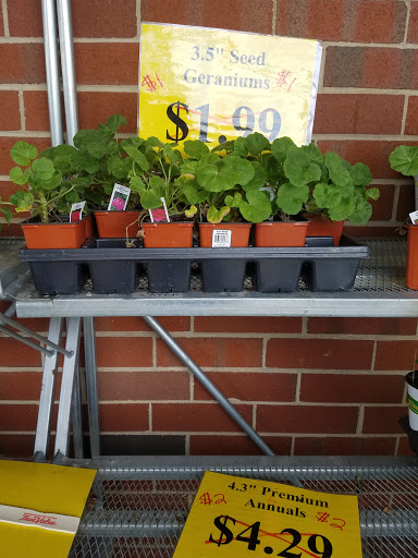 Home Improvement Store «True Value», reviews and photos, 790 Euclid Ave, Palatine, IL 60067, USA