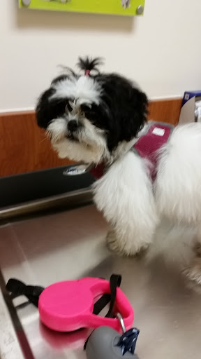 Pet Supply Store «PetSmart», reviews and photos, 3101 Market Center Drive, Morrisville, NC 27560, USA