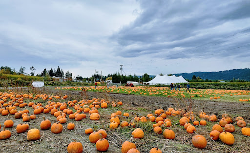 Farm «Bella Organic Farm», reviews and photos, 16205 NW Gillihan Rd, Portland, OR 97231, USA