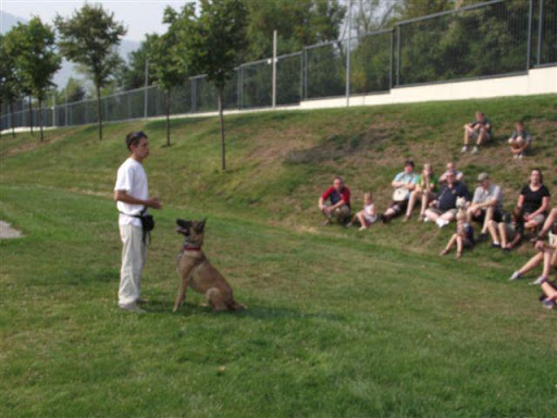 Dog training classes Sofia