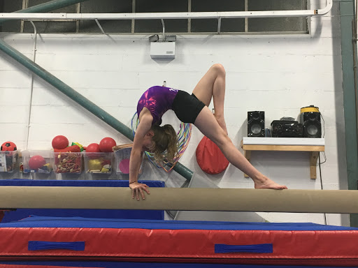 Oadby and Leicester Gymnastics Club