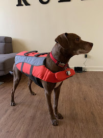 PetSmart - Photo 4 - Car repair in Oklahoma City, OK, Oklahoma City