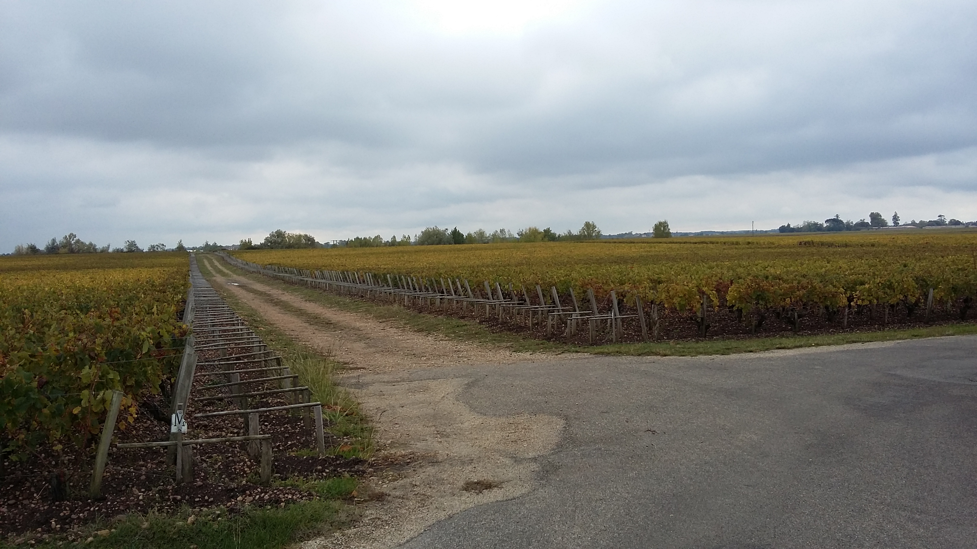 Photo n° 2 de l'avis de Gérard.a fait le 06/11/2018 à 11:10