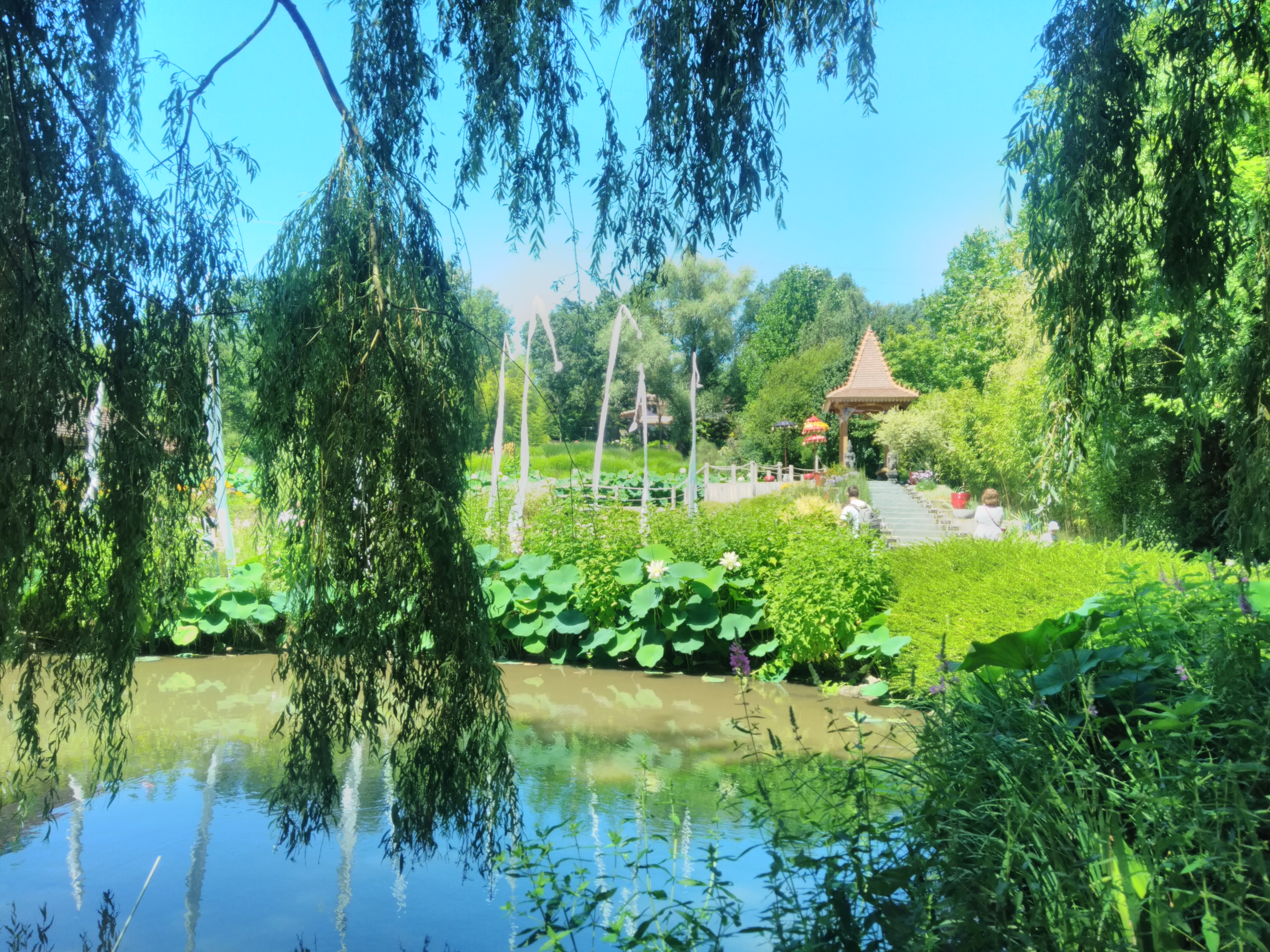 Photo n° 1 de l'avis de LURON. fait le 21/07/2018 à 07:25