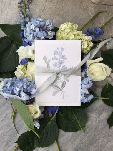 Stationery Store «Papery of Philadelphia», reviews and photos, 1219 Locust St, Philadelphia, PA 19107, USA