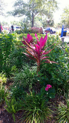 Gift Shop «Celtic Shop of Dunedin», reviews and photos, 354 Main St, Dunedin, FL 34698, USA