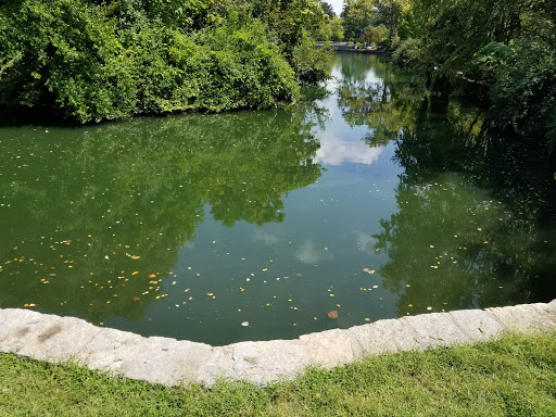 Park «Centennial Park», reviews and photos, 2500 West End Ave, Nashville, TN 37203, USA