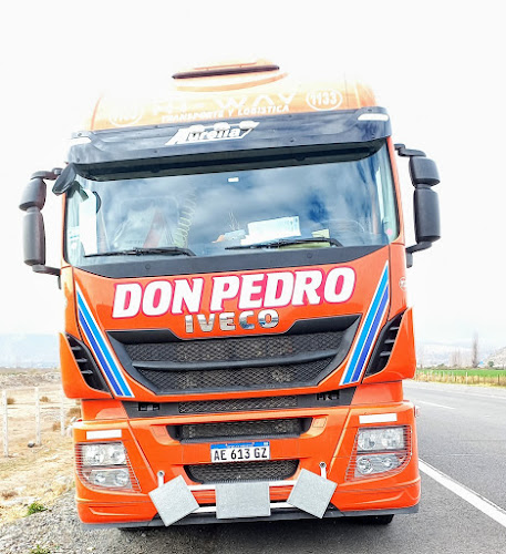 Opiniones de EMPRESA DE TRANSPORTES DON PEDRO CHILE en Los Andes - Servicio de transporte