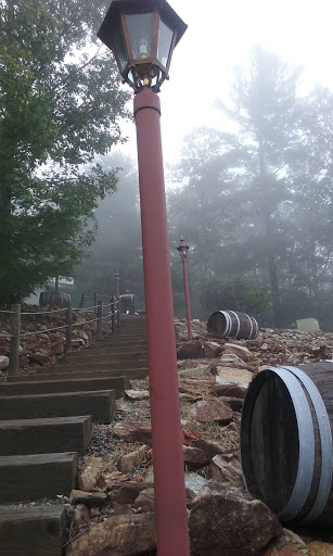 Vineyard «Stone Mountain Vineyards», reviews and photos, 1376 Wyatt Mountain Rd, Dyke, VA 22935, USA