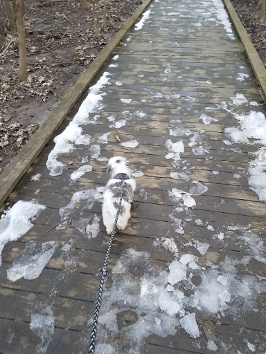 Nature Preserve «Benjamin Olewine III Nature Center», reviews and photos, 100 Wildwood Way, Harrisburg, PA 17110, USA