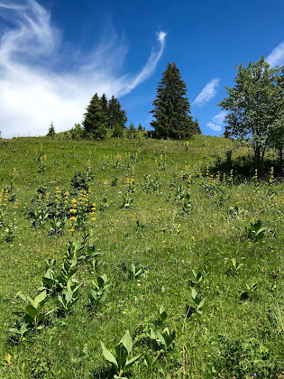 Photos des visiteurs Hébergement Alpages du Levant 39310 Septmoncel les Molunes