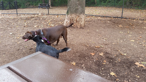 Pet Supply Store «PetSmart», reviews and photos, 9970 Sowder Village Square, Manassas, VA 20109, USA