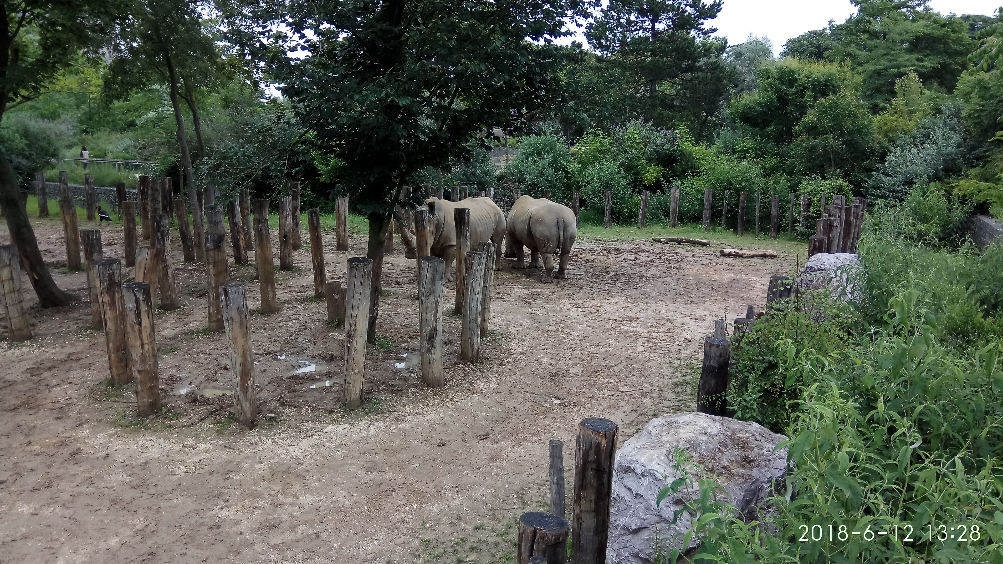 Photo n° 22 de l'avis de Swiss.e fait le 15/06/2018 à 19:24