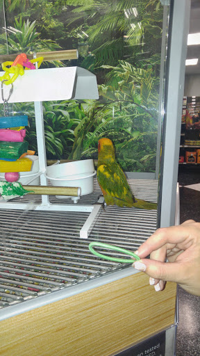 Pet Supply Store «Petco Animal Supplies», reviews and photos, 5215 Lakewood Blvd, Lakewood, CA 90712, USA