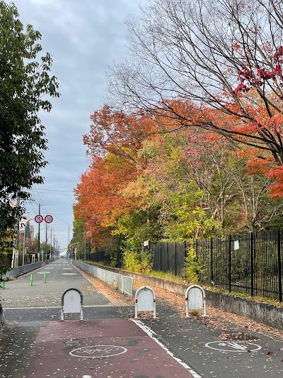 向島中央公園