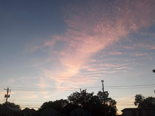 Department Store «Walmart Supercenter», reviews and photos, 819 Bennie Rd, Cortland, NY 13045, USA