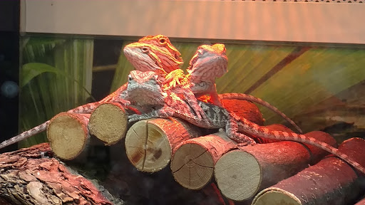 Pet Supply Store «PetSmart», reviews and photos, 291 Skokie Blvd, Northbrook, IL 60062, USA