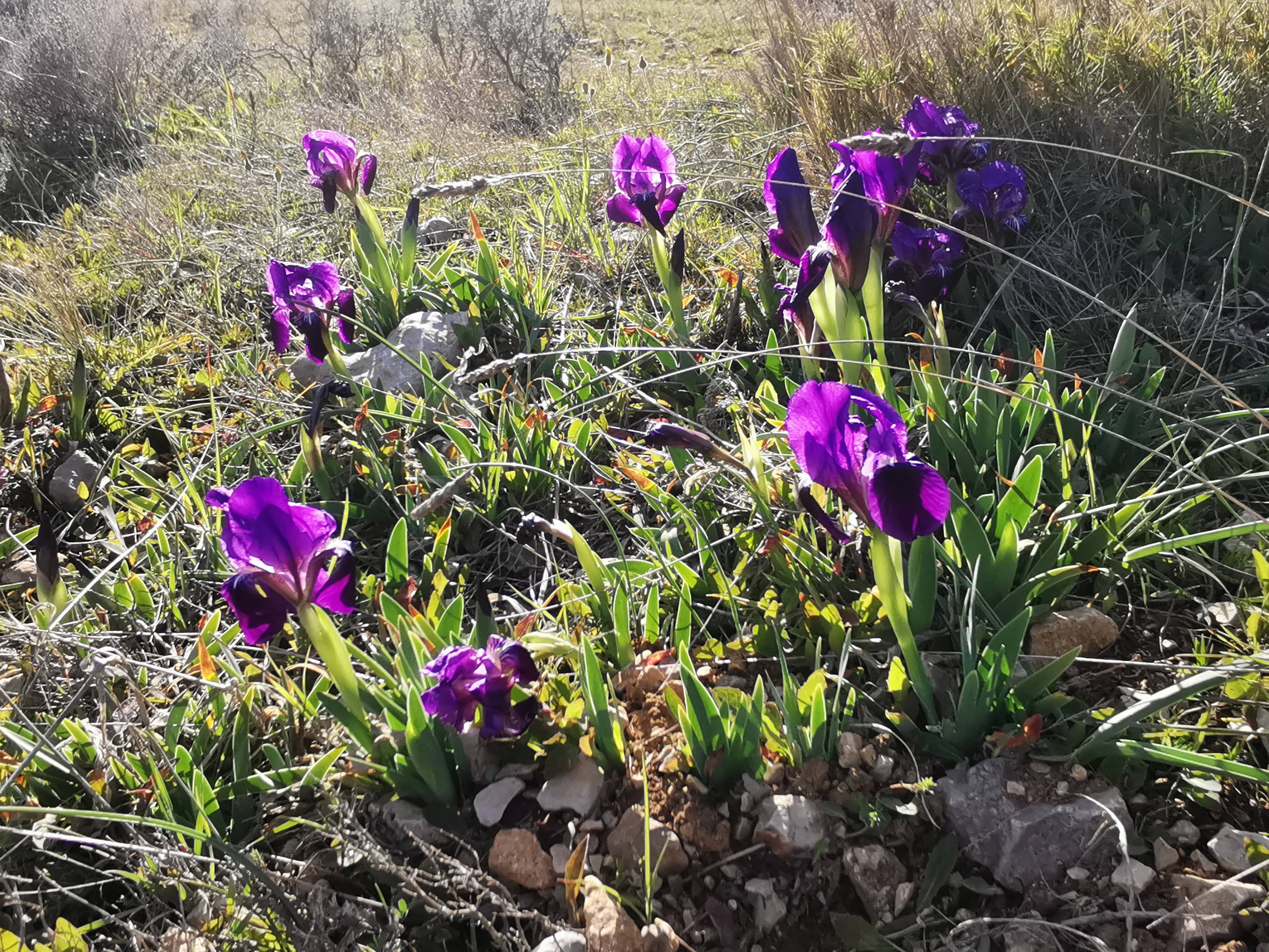 Photo n° 15 de l'avis de Matthew.l fait le 16/03/2023 à 11:45