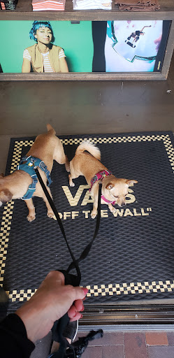 Shoe Store «Vans», reviews and photos, 5232 E 2nd St, Long Beach, CA 90803, USA