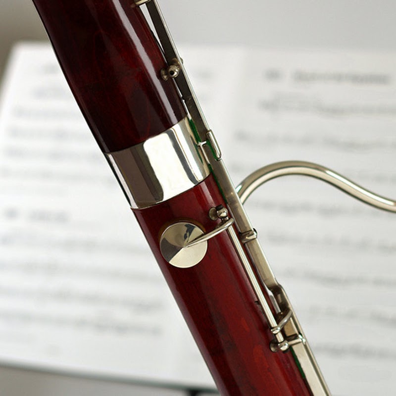 Double Reed Ltd