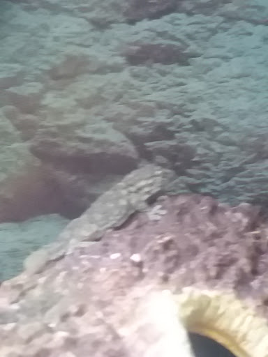 Pet Supply Store «Petco Animal Supplies», reviews and photos, 3731 Gateway Dr, Eau Claire, WI 54701, USA