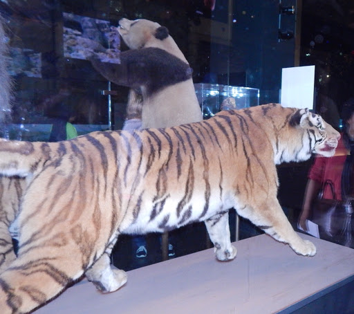 Museum «Museum of the City of New York», reviews and photos, 1220 5th Ave & 103rd St, New York, NY 10029, USA