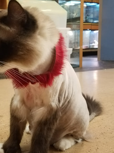 Pet Store «A to Z Pets», reviews and photos, 16010 SE Division St, Portland, OR 97236, USA