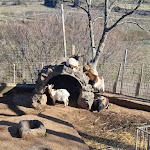 Photo n°6 de l'avis de Annamaria.e fait le 05/02/2023 à 15:22 sur le  Il Casolare delle Balze à Bronte