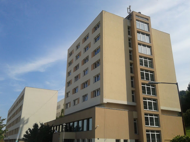Kiss Árpád Kollégium - Egyetem