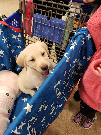 Pet Supply Store «PetSmart», reviews and photos, 9921 Pulaski Hwy, Baltimore, MD 21220, USA