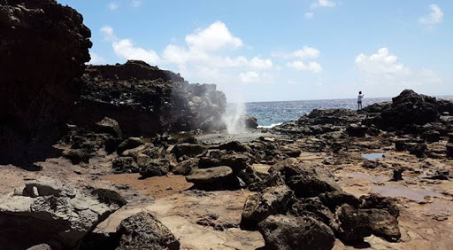 Travel Agency «Yolo Getaways», reviews and photos, 18 Farmington Dr, Temple, GA 30179, USA