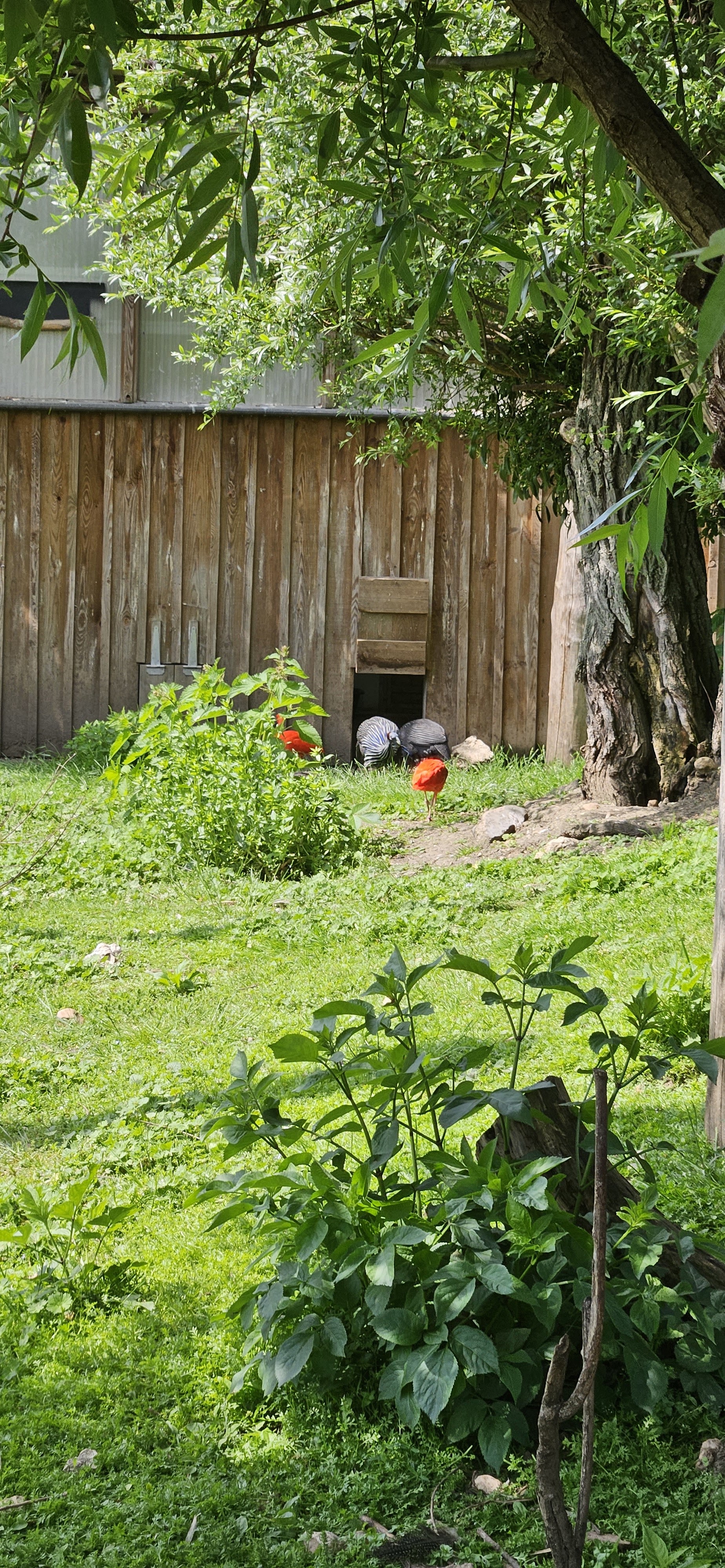 Photo n° 22 de l'avis de GrainDartiste.. fait le 18/05/2023 à 13:48