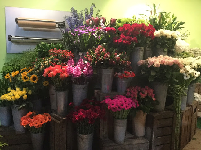 Reviews of Ashley Blooms in Reading - Florist
