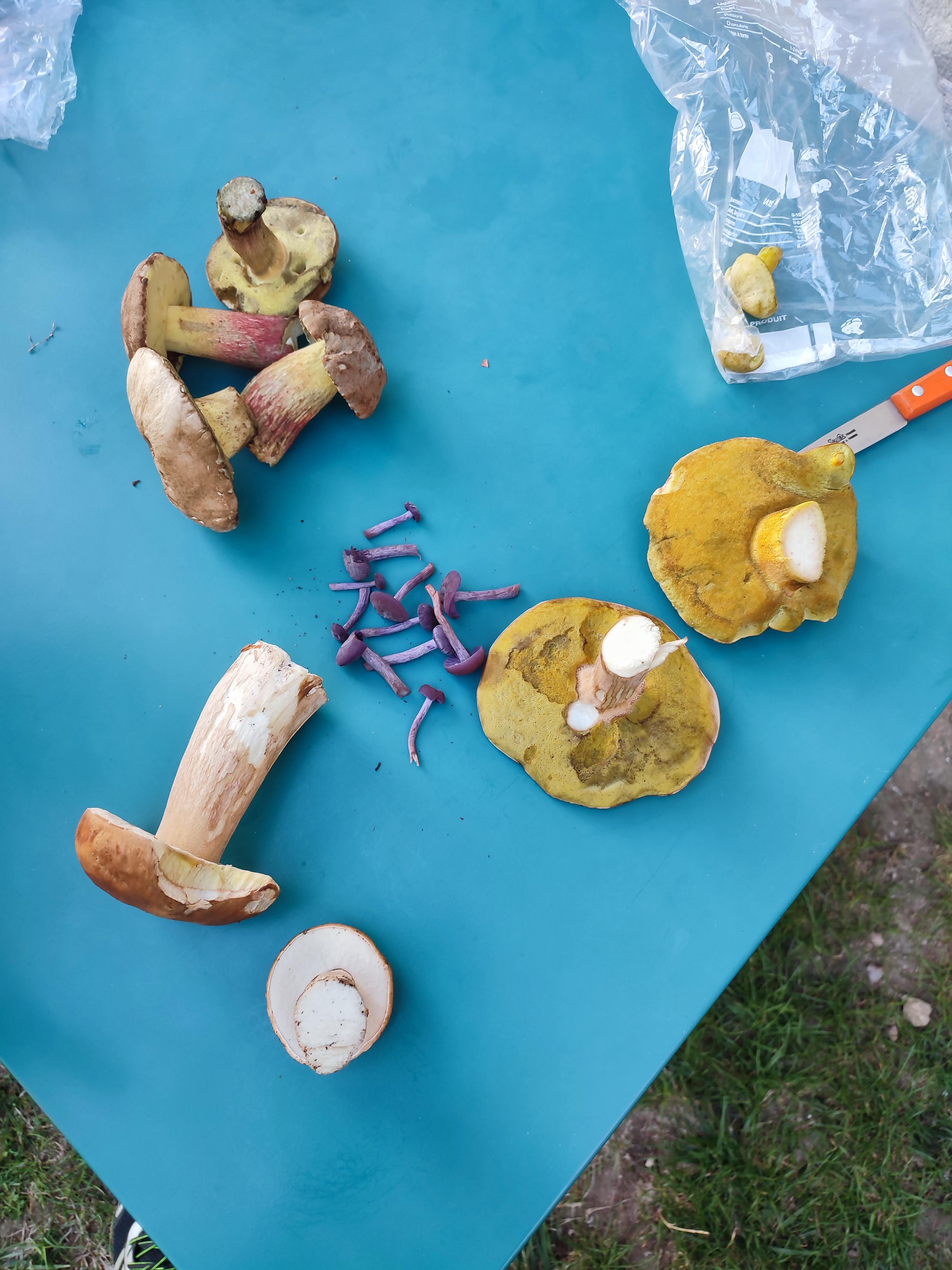 Photo n° 1 de l'avis de Didier.I fait le 22/09/2022 à 10:22