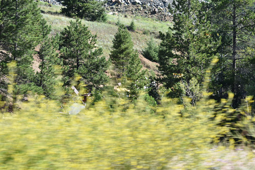 Casino «Red Dolly Casino», reviews and photos, 530 Gregory St, Black Hawk, CO 80422, USA