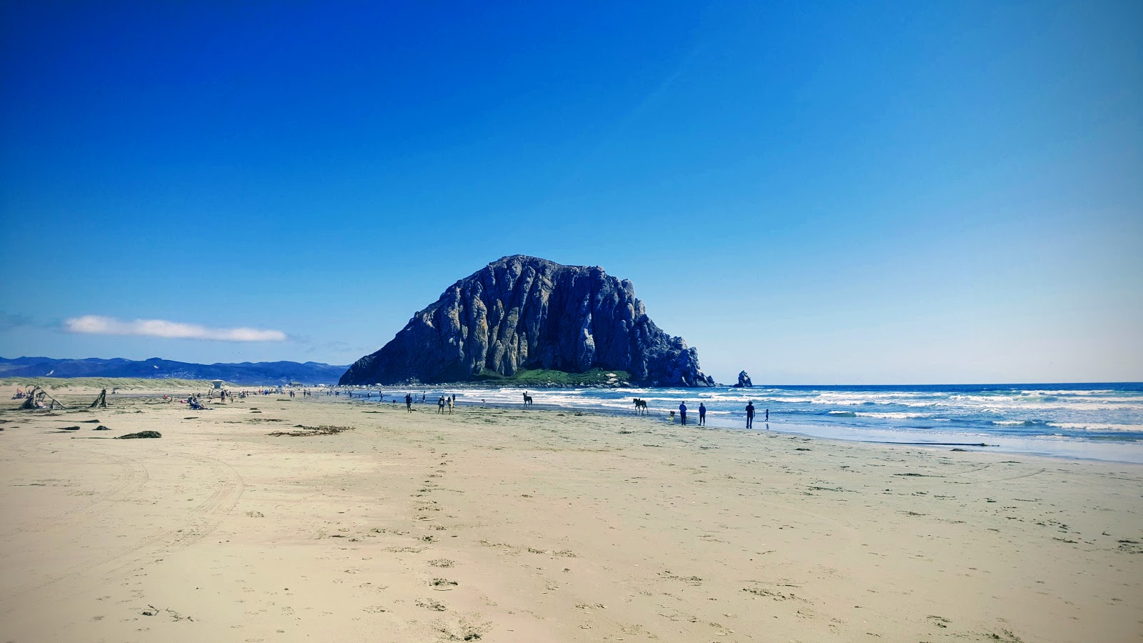 Foto av Morro Bay Beach med ljus sand yta