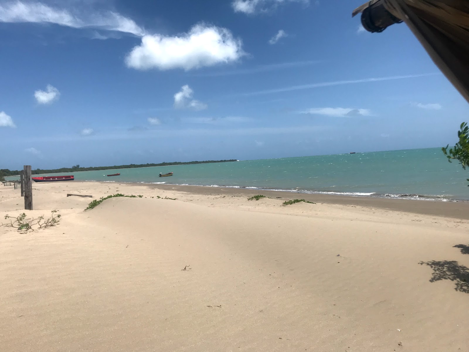Foto av Parottee Bay med lång rak strand