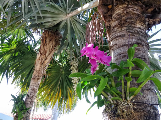 Cosmetics Store «SEPHORA», reviews and photos, 721 Collins Ave, Miami Beach, FL 33139, USA