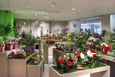 Le Jardin des Fleurs à Troyes