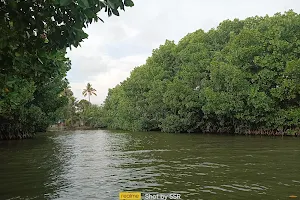 Munroe Island Boating image